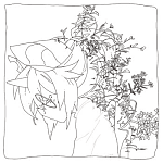 deuteronomy - evaporation